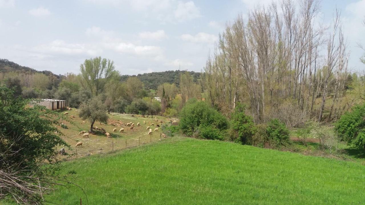 Casa Rural El Jardin Del Hueznar San Nicolás del Puerto Екстериор снимка